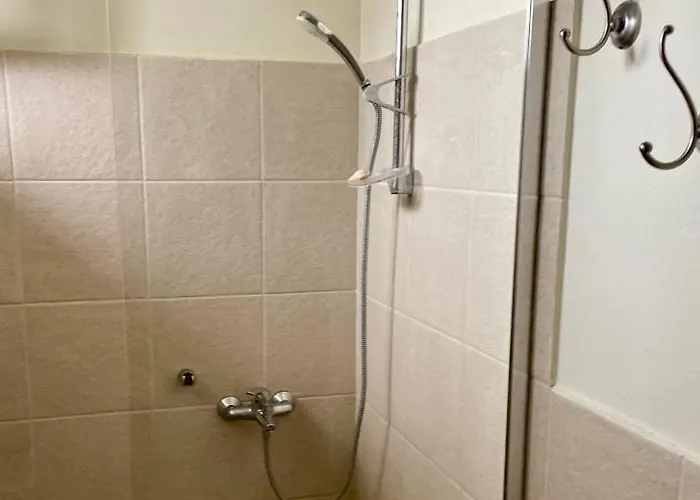 Διαμέρισμα Karmi Andros *