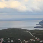 Karmi Stenies